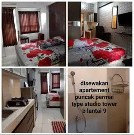 Disewakan Apartemen Puncak Permai Type Studio Furnish