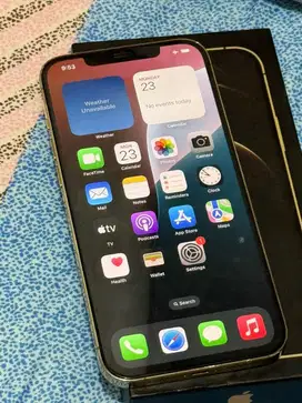 Iphone 12 Pro Max 256GB Fullset beacukai
