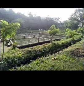 Nikmatin  Suasana Alam Dengan Memiliki Tanah Pemancingan