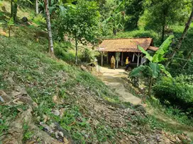 Dijual Tanah Kebun Produktif di Mekarbuana Loji Karawang Jawa Barat