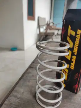 Per CVT Daytona 1000Rpm