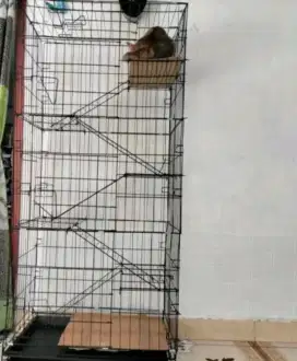 Jual kandang kucing lipat 5 tingkat 60x40x145