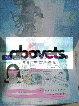 Pengurusan Visa Tujuan Wisata Dll