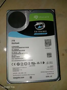 Hard disk cctv 2tb seagate skyhawk surveillance