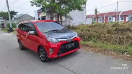Cayla G at 2017 merah