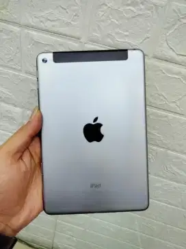 Ipad mini 4 128 wificell