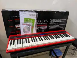 KEYBOARD ROLAND GOKEYS 61Keys