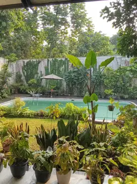 Hunian Asri dan nyaman dilokasi strategis Jaksel