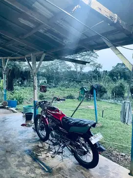 Yamaha Rx-King 2008