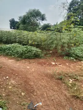 DIJUAL TANAH KEBUN DI SETU