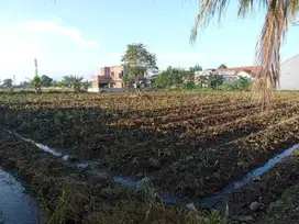 Tanah kavling Bisa Di Cicil 12x Tanpa Bunga, Dekat Terminal Laladon