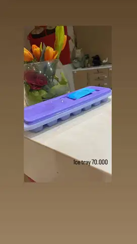tempat pembuat es batu