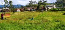 Dijual Tanah SHM Luas 3450m2