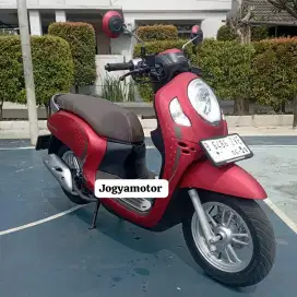 Scoopy stylish th 2024 NEGO ALUS