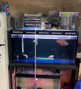 Aquarium 100x50x50 kaca keliling full 10mm