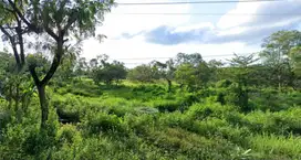 Tanah suramadu sisi madura