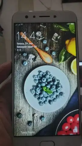 Oppo F3 gold4/64