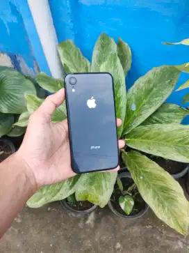 iPhone Xr 64gb inter