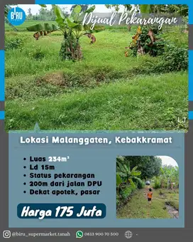 Tanah Pekarangan Dekat apotik dan Pasar