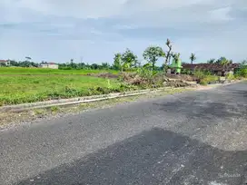 Tanah Jogja Area Candi Sambisari Purwomartani Kalasan Tepi Jalan Raya