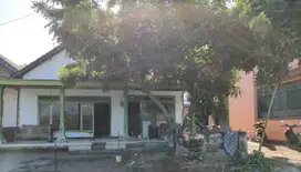 KELURAHAN BANDAR KEDUNGMULYO, JOMBANG