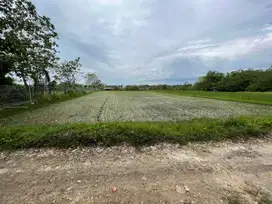 Dijual cepat  Tanah komersil di area beach side pantai nyanyi
