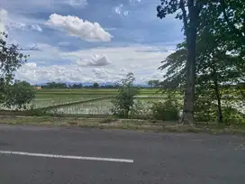 Tanah Kering Siap Bangun di Bendosari Jalan Raya Solo Sukoharjo