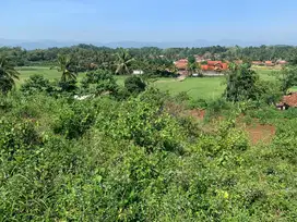 Dijual Tanah di Cibinong Hilir Cianjur Jawa Barat