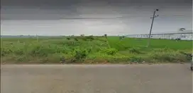 Dijual Tanah Industri di Ds Gondorukem, Lawangrejo, Pemalang  Jateng