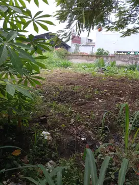 Disewakan Tanah Di Sayap Cibabat