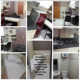 Disewakan Apartemen Puncak Permai Tower C.816