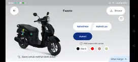 Fazzio Gress Mulus Keren