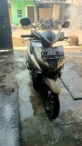 Yamaha soul GT 2015