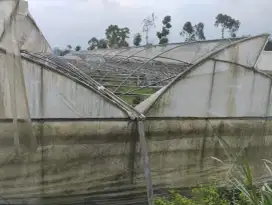 Rangka Besi Bangunan Greenhouse Made in Yordania