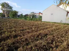 Murah Tanah Kavling Area Bogor, Lokasi Strategis dekat PMK IPB. SHM