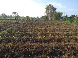 Tanah Kavling Lokasi Area Bogor, Dekat Terminal Laladon, Legalitas SHM