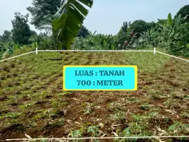 DI JUAL TANAH KEBUN MURAH SETRATEGIS