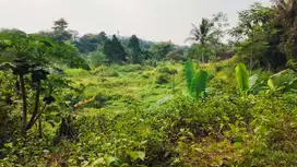 3km Dari Kampus IPB Dramaga, Jual Cepat Hitung Tanah Jl Tegalwaru