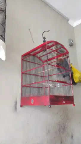 Jual sangkar burung 3  lb 2 kotak 1