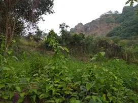 Dijual Tanah Di Desa Sinar Sari Cikalongkulon Cianjur