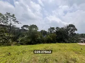 Tanah di luas 275m2 sumber air melimpah di puncak
