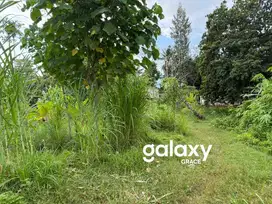 TANAH TIGAWASA BANJAR BULELENG SINGARAJA, BALI