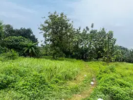 Price New launching, Kavling area Cileungsi. include Fasum Jalan