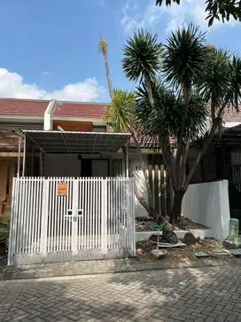 Murah Rumah 1 Lantai Mezzanine Siap Huni di Bukit Palma, Citraland