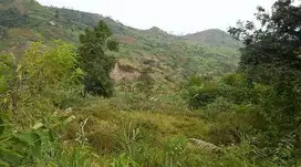 Dijual Tanah di Cikande Bandung Barat, Area Luas Nyaman Siap Bangun