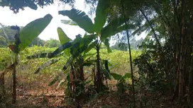 Tanah Kavling di Cijujung Sukaraja 1,5 Juta Per m2