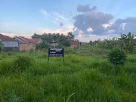 Tanah 1200 M2 (Dijual Cepat Nego)