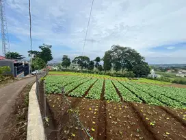 Dijual Tanah di Ngamprah, Strategis Dekat Kantor Pemda KBB Sudah SHM