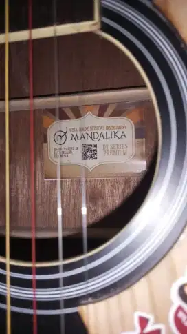 Jual gitar akustik elektrik Mandalika.
