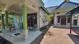 KELURAHAN PURWOREJO, JENU TUBAN